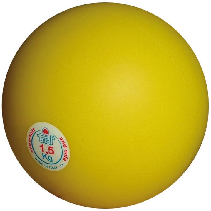 Image du produit Trial Balle de choc pour salle, 1,5 kg (1500 g)