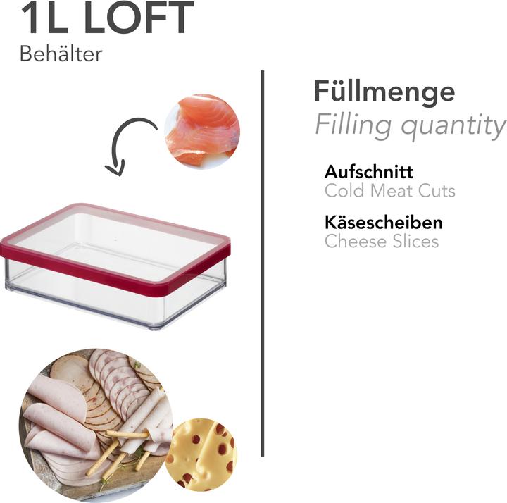 Actual product image Rotho Premium (1 l)