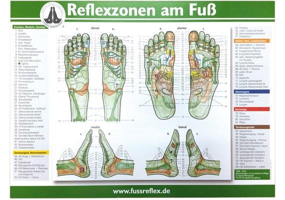Image du produit You Nails Tableau de réflexologie plantaire 59 x 41 de