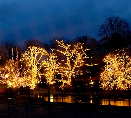 Produktbild Star Trading Lichterkette (3 m)