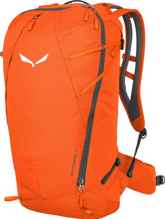 Actual product image Salewa Mountain Trainer L Backpack (25 l)