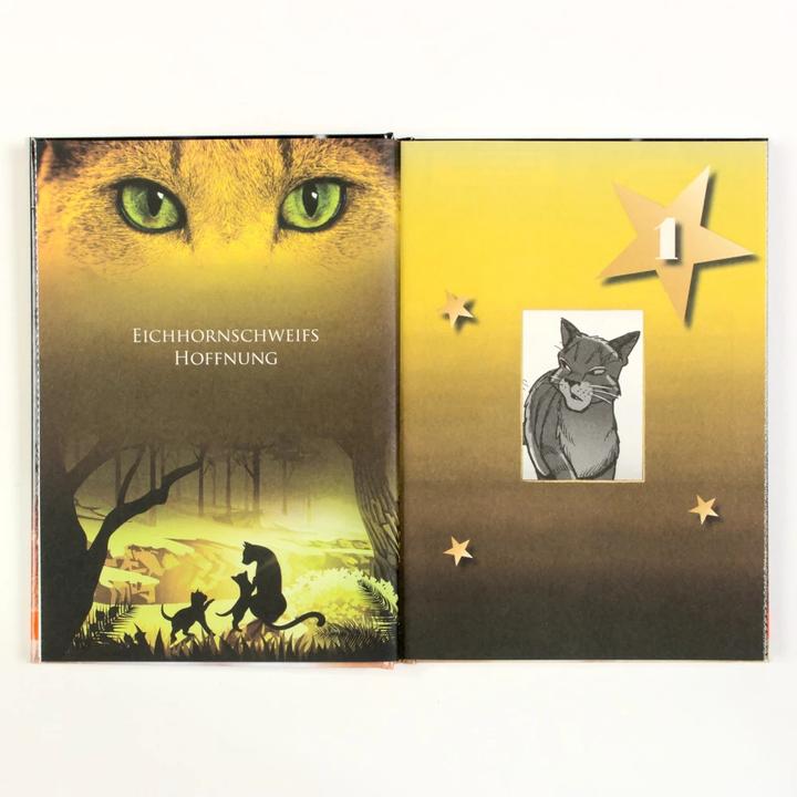 Produktbild Warrior Cats - Adventskalenderbuch