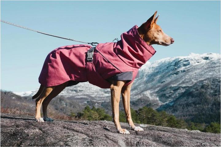Actual product image Hurtta Expedition (20, Dog coat)
