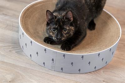 Actual product image Trixie Lilly (Lilac)