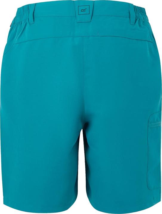 Produktbild Regatta Chaska III Shorts Wandern (44)