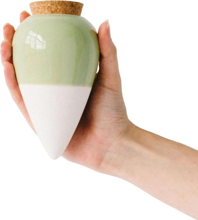 Immagine prodotto Pepin Sistema di auto-irrigazione Olla - Verde (Cono di argilla)