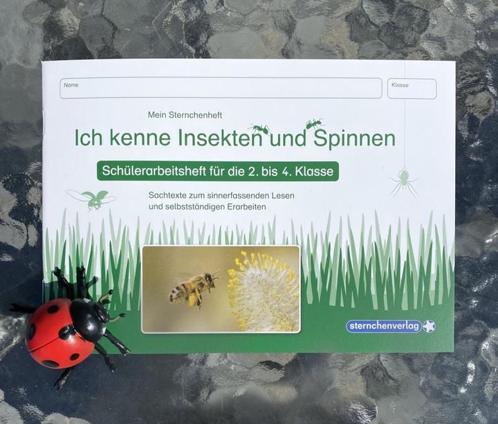 Produktbild Ich kenne Insekten und Spinnen - Schülerarbeitsheft für die 2. bis 4. Klasse (Deutsch, Katrin Langhans, 2012)