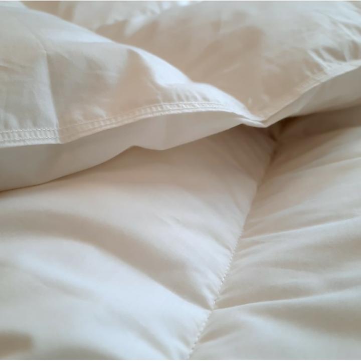 Immagine prodotto Duvetsuisse Special Promo Medium (850 g, 200 x 210 cm)