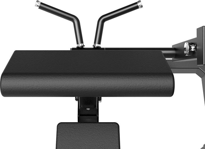 Actual product image Tunturi Platinum bicep curl with weight stack