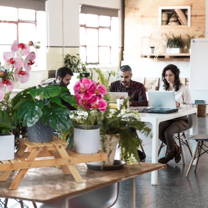 Produktbild Relaxdays Blumentreppe