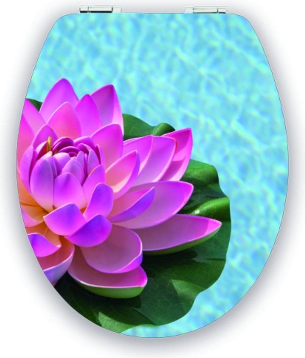 Image du produit Diaqua Lotus