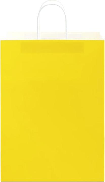 Actual product image vidaXL Papiertragetasche (250x)