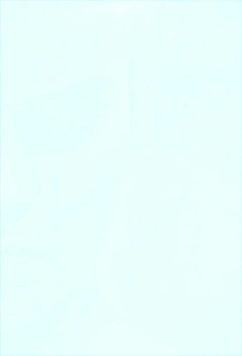 Produktbild Nomade auf vier Kontinenten (Deutsch, Ilija Trojanow, 2007)