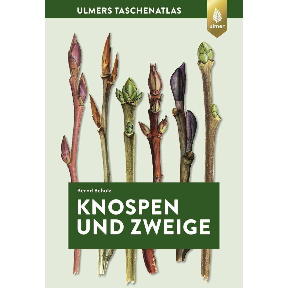 Knospen und Zweige, Sachbücher von Bernd Schulz