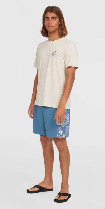 Actual product image O'Neill O'Riginals Side Panel 16" Swimshorts (M)
