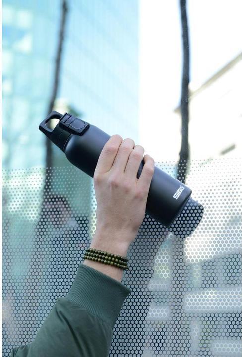 Actual product image Sigg H&C One Top