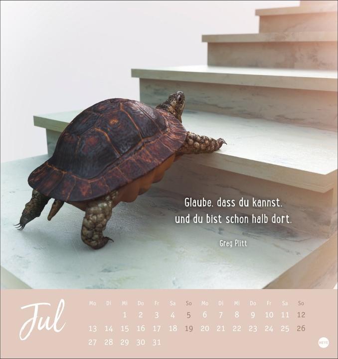 Produktbild Never give up! Postkartenkalender 2026 - Durchhalten. Denn alles wird gut (Deutsch)