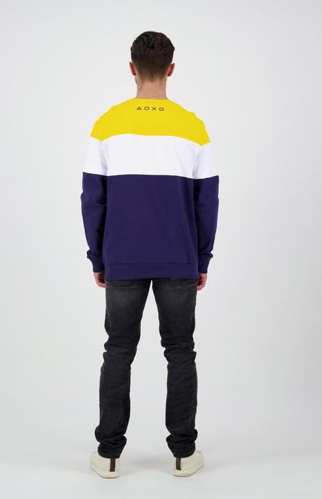 Actual product image Sony Colour Block Men's Sweater (XL)