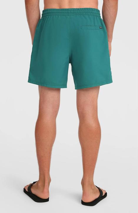 Image du produit O'Neill Beachshorts Logo (M)