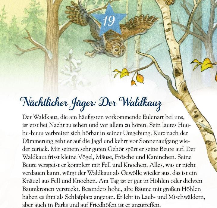 Actual product image Slip calendar