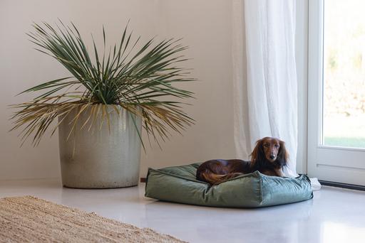 Produktbild Designed by Lotte Nalino (Hund)