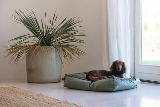 Immagine prodotto Designed by Lotte Nalino (Cane)