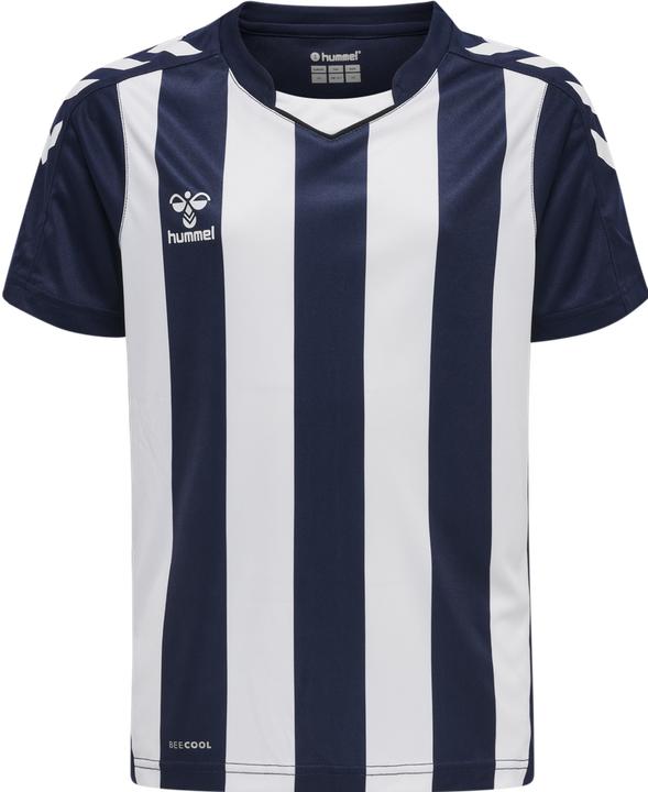 Produktbild hummel Core Xk Striped Jersey Kids S/S (116)