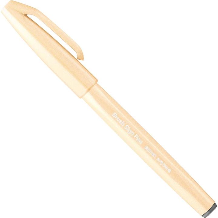 Actual product image Pentel Brush Sign Pen