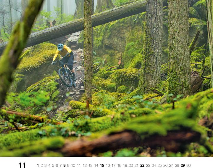 Produktbild Freeride 2026 (56 x 46 cm)