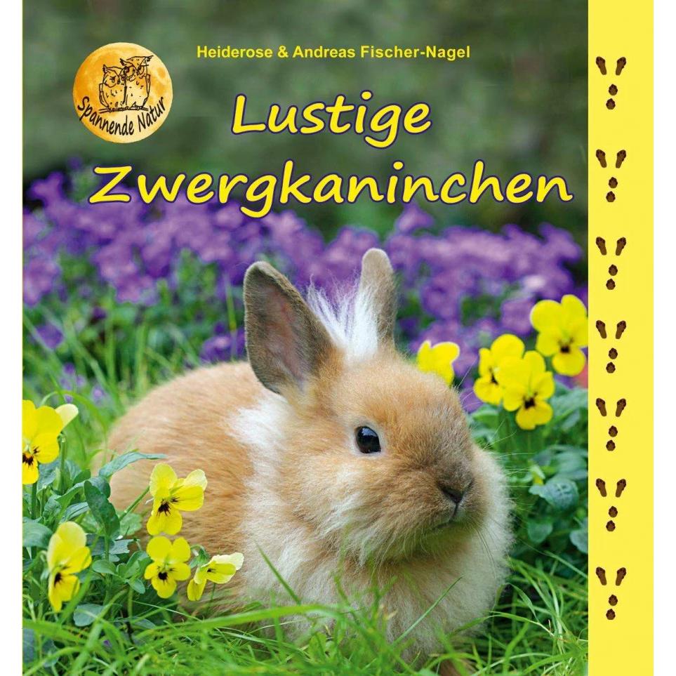 Andreas, Kinderbücher von Heiderose Fischer-Nagel, Andreas Fischer-Nagel