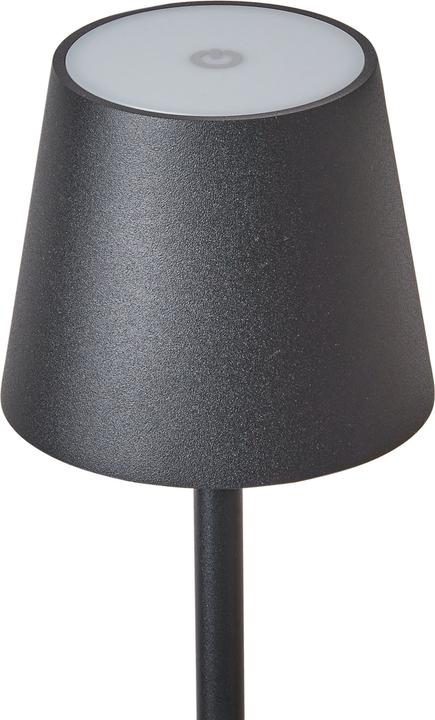 Image du produit Beliani Gavarresa (200 lm)