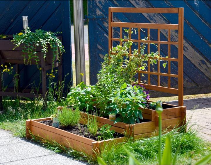 Image du produit Dobar Pérou