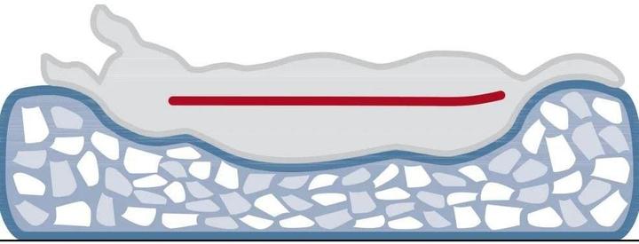 Actual product image Trixie Vital Noah (Cat, Dog)