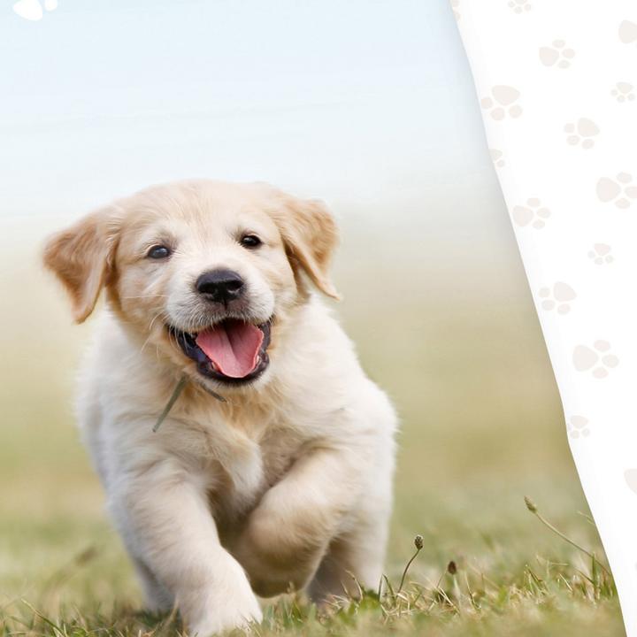 Immagine prodotto Herding Biancheria da letto reversibile "Cucciolo