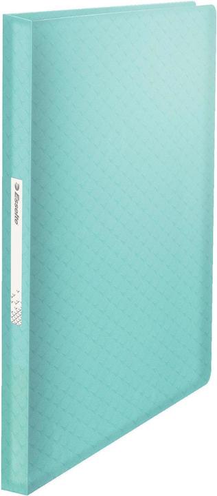 Immagine prodotto Esselte Colore'ice (A4, 1x)