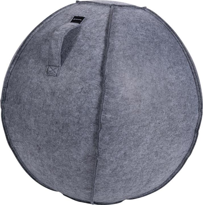 Actual product image Ergovia Cover for gymnastics ball (65 cm)