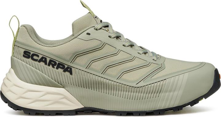 Aloe, Light Olive