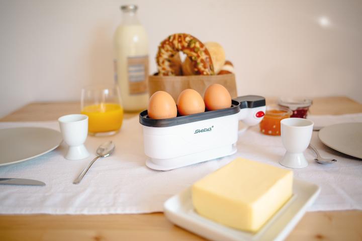 Actual product image Steba Ek 4