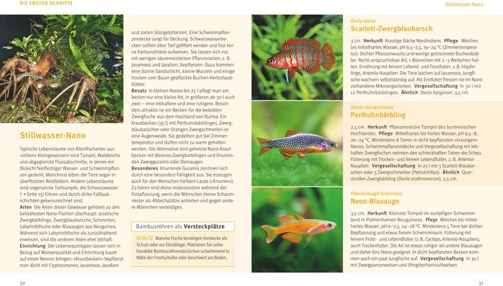 Image du produit Nano aquariums (20.20 cm)