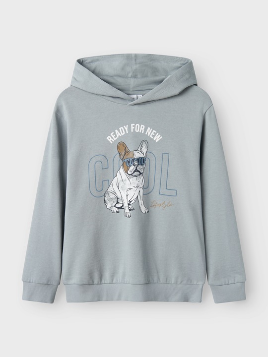Actual product image Name it Regular Fit Hoodie (122)