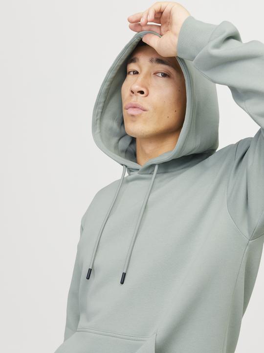 Image du produit Jack & Jones Jjebradley Sweat Hood Noos (XXL)