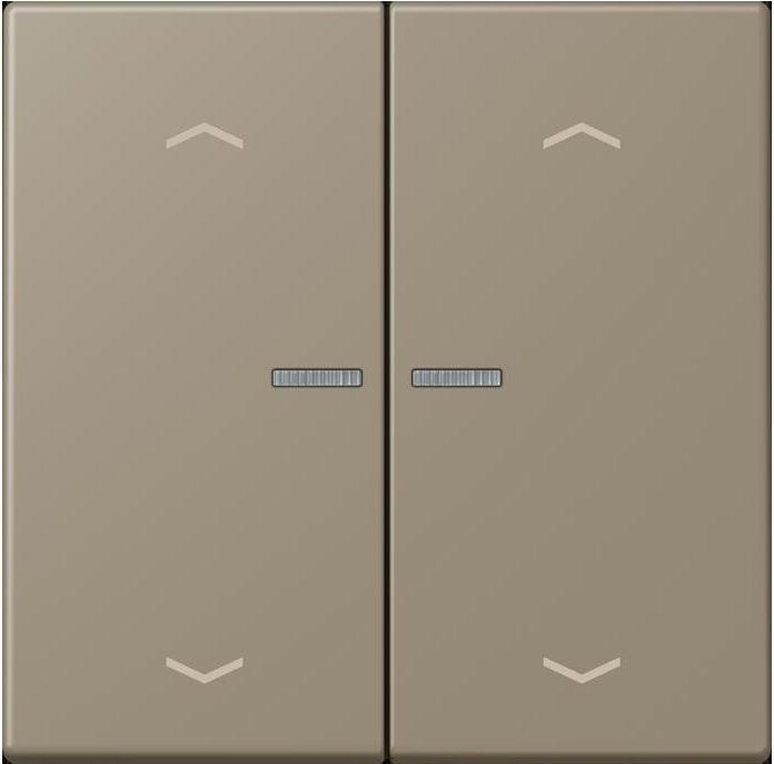 Actual product image JUNG BTLC17102P242 HOME push button