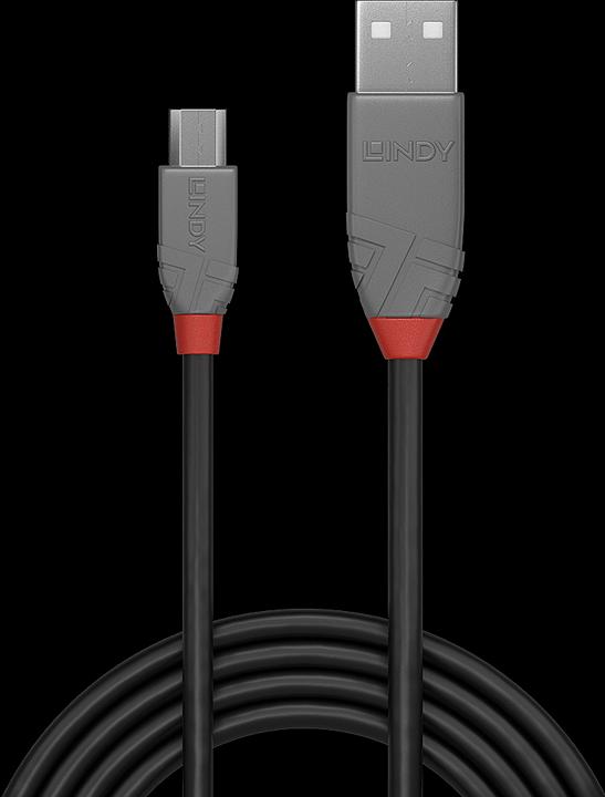 Immagine prodotto Lindy Anthra Line (3 m, USB 2.0)