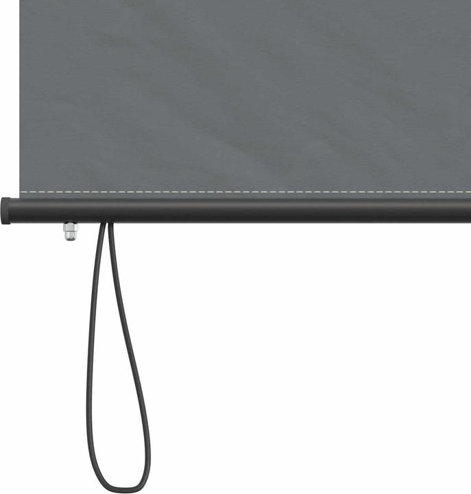 Produktbild vidaXL Outdoor Rollo (100 x 250 cm)