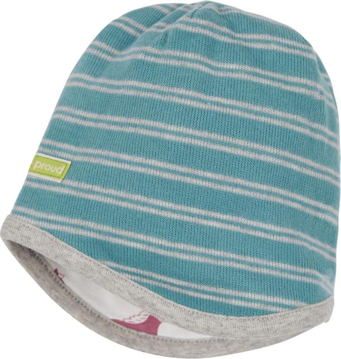 Actual product image loud + proud Reversible cap striped (74/80)