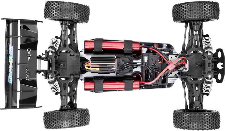 Actual product image Reely Giant Buzz (RTR Ready-to-Run)
