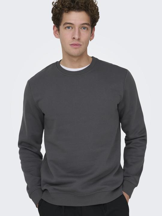 Produktbild Only & Sons Onsconnor Reg Crew Neck Sweat Noos (XS)