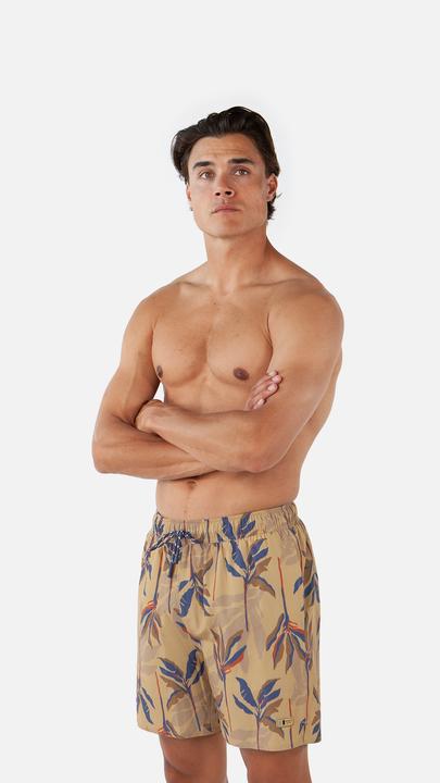 Image du produit Barts Fervis Shorts (L)
