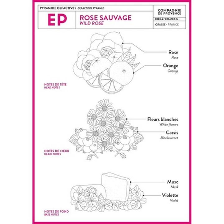 Actual product image La Compagnie de Provence Provence (Liquid soap, 495 ml)