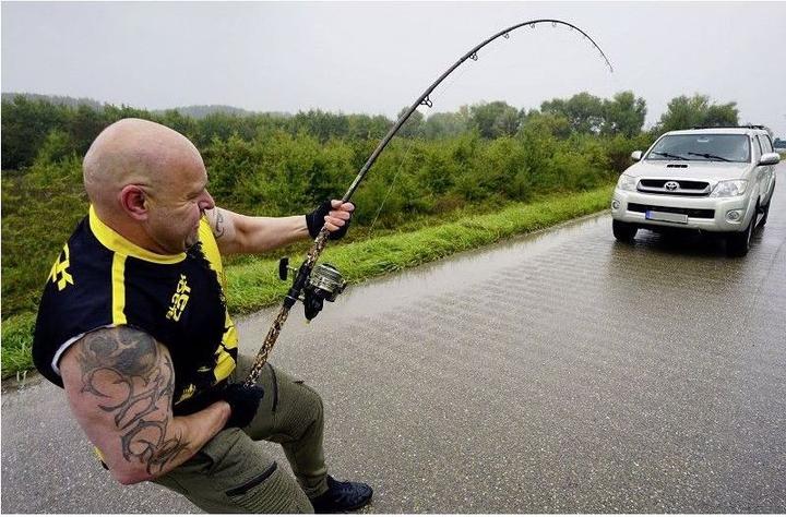 Produktbild Black-Cat Wild Cat'z Beast (305 cm)